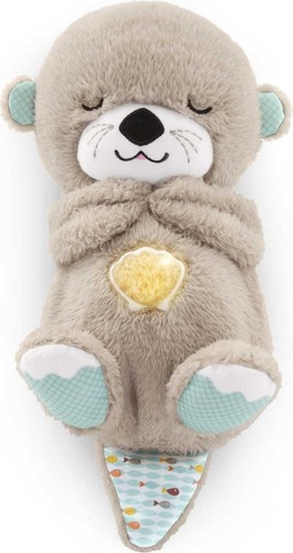 Newborn baby fisher price - newborn,