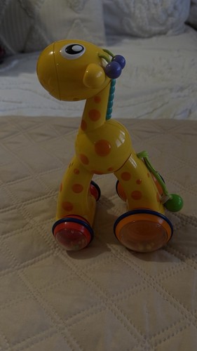 Fisher price push - price, along